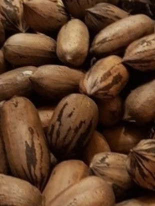 Nueces Pecan Con Cascara X 5 Kg 0