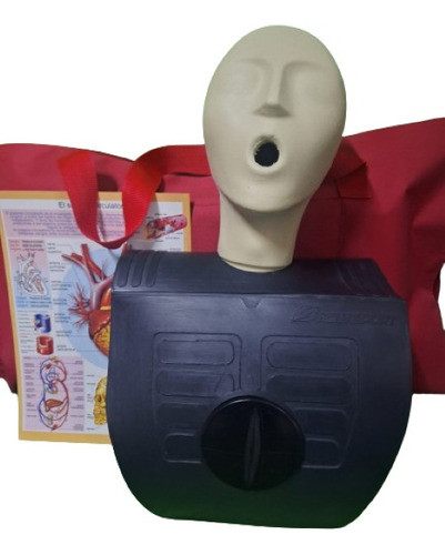 Torso Para Práctica Masiva De Rcp Nacional Con Bolsa Roja 0