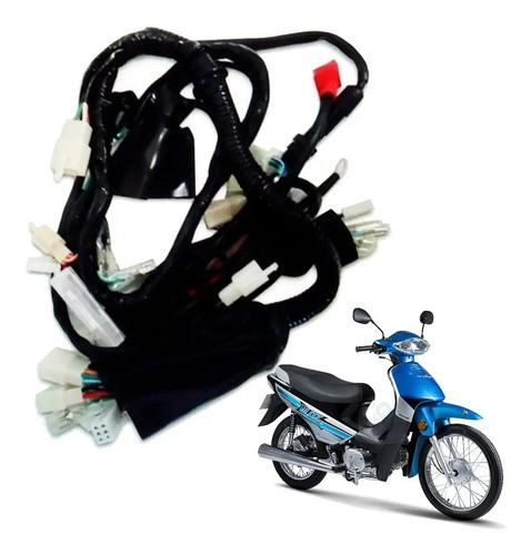 Instalación Electrica Ramal Principal Motomel Blitz 110 V8 0