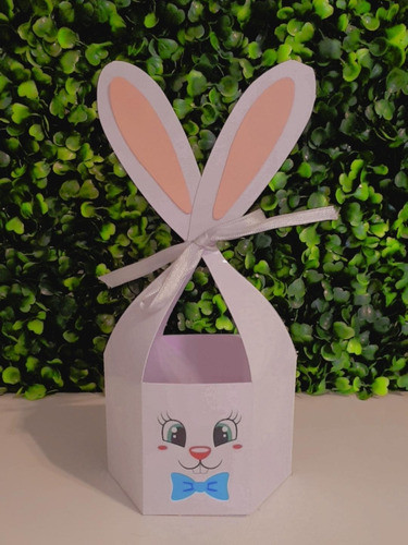 Caja Conejo De Pascua Infantil 0