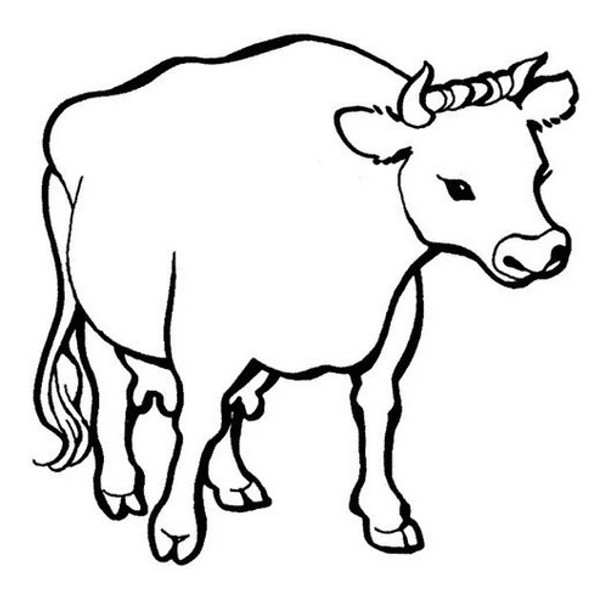 Ahuyenta Animales Vehiculos En Ruta Evita Accidentes Dr-02 0