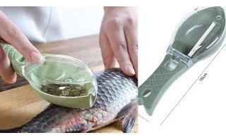 Descamador De Peixe Com Tampa 0