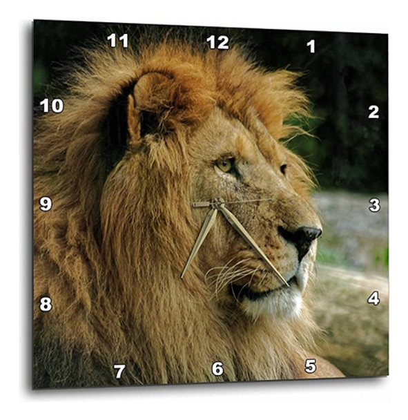 Reloj De Pared Estilo Animal Con Diseño De León Africano . 0 Reloj De Pared Estilo Animal Con Diseño De León Africano . 0