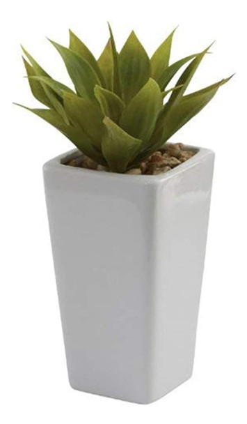 Casi Natural 4972s3 Agave Con Maceta, Mini, Color Blanco Y V 0 Casi Natural 4972s3 Agave Con Maceta, Mini, Color Blanco Y V 0