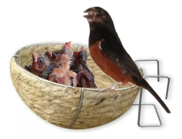 Ninho Corda De Juta Para Pássaros Curió 01 Unidade 0 Ninho Corda De Juta Para Pássaros Curió 01 Unidade 0