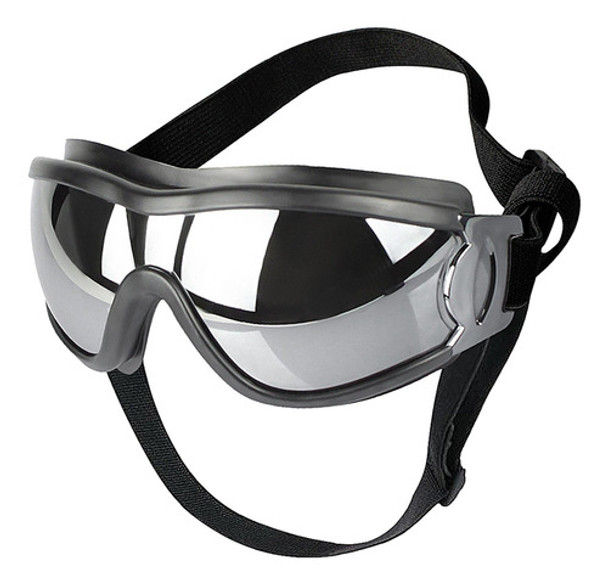 Culos De Proteção Para Cães De Estimação Da Moda 0