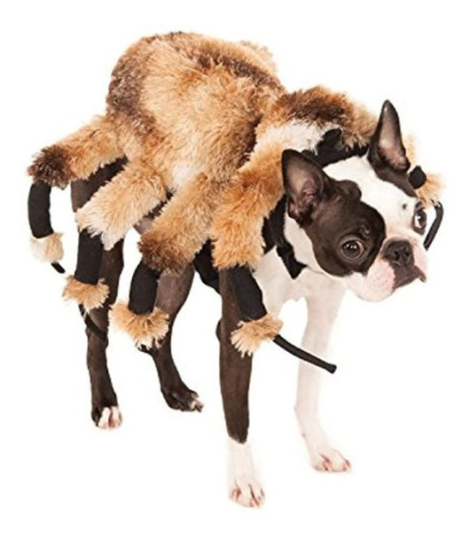 Traje De Mascota De Araña Gigante De La Compañia De Disfr 0 Traje De Mascota De Araña Gigante De La Compañia De Disfr 0