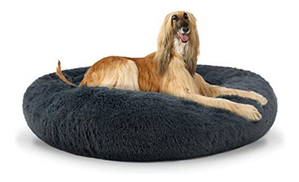 La Cama Del Perro, El Sueño Sonoro, La Cama Para Perros, La 0