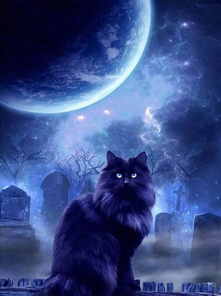 Pintura Con Diamantes 5d Gato Luna Noche 40x50cm 0