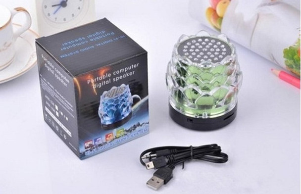 Parlante Portable Fm Para Microsd Pendrive De Loto Luz Led 0