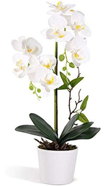 Livilan Orquídeas Flores Artificiales Planta De Orquídea Pha 0
