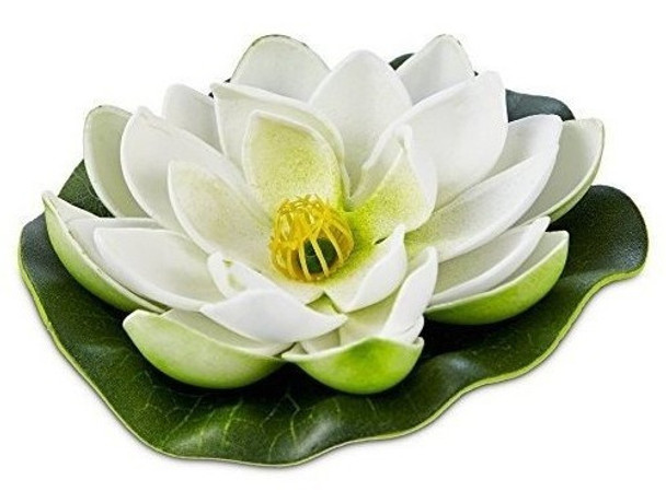 Imagitarium Lotus Lounger Betta Bed 4 Diametro Estandar Su 0 Imagitarium Lotus Lounger Betta Bed 4 Diametro Estandar Su 0