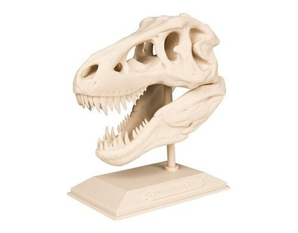 Decoracion Craneo T Rex Dinosaurio 0 Decoracion Craneo T Rex Dinosaurio 0
