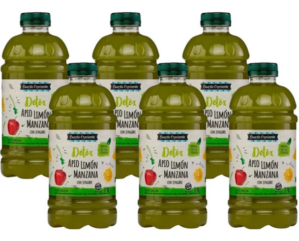 Agua Saborizada Jugo Detox De  Manzana Limon Apio  1lt X 6 0