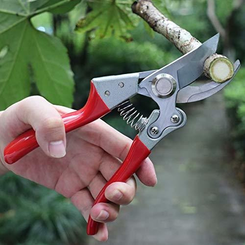 Tijera Para Poda De Mano Profesionales (rojo) 0
