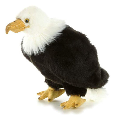 Aurora 105 Regal Eagle Wildlife 0