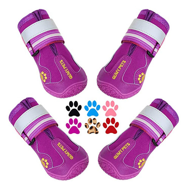 Calzado Mascota Zapato Talle 2 Color Purpura 0