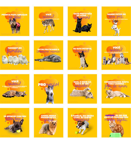 Pack Canva Petshop Arquivos Editáveis 100 Artes Prontas 0