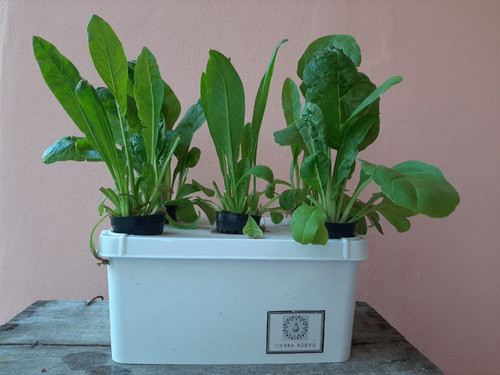 Mini Huerta Hidroponica 0