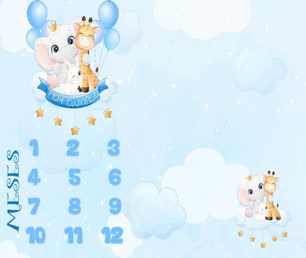 Lona Manta Crecimiento Bebe Semana Mes Y Año Lavable Jirafa 0 Lona Manta Crecimiento Bebe Semana Mes Y Año Lavable Jirafa 0