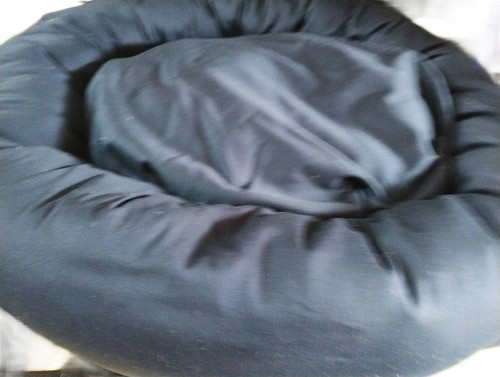 Moisés De Gabardina 55 Cm 0