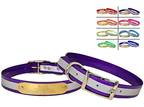 Collar De Perro Dayglo Reflectante De La Marca Warner Etique 0