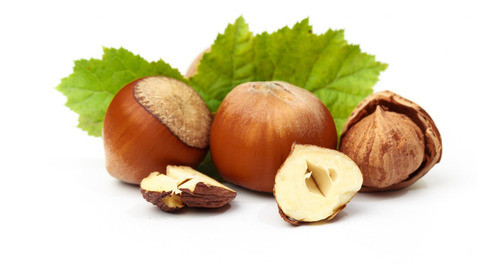 Avellana  - Avellano - Arbol De Avellana 0