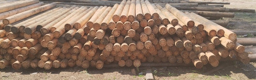 Postes Meolos De Eucaliptus 2.60 Mts 0