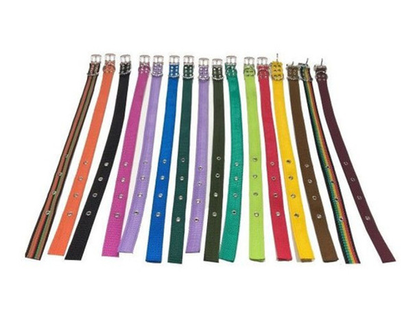 Collar Cinta Nro 3 Perros Gatos Mascotas 0