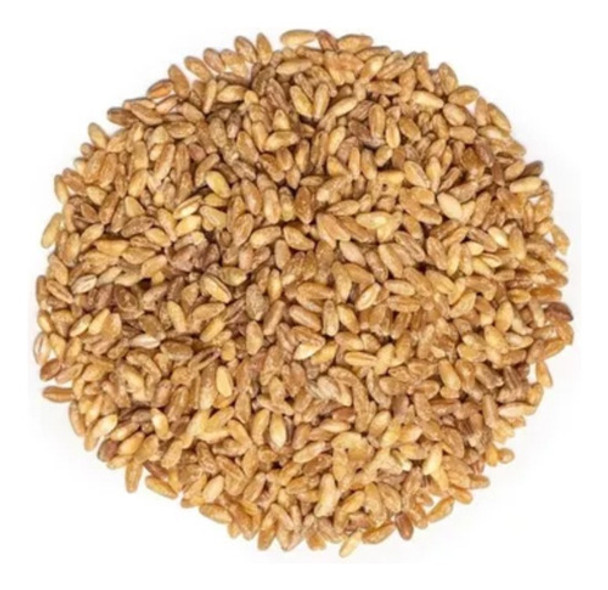 Trigo Pelado Candeal X 5 Kilos!! Envios A Todo El Pais 0