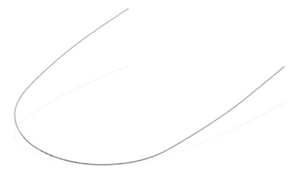 Arco Niti 021x025 Inf X 10un 0