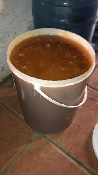 Miel Orgánica De Abeja 0