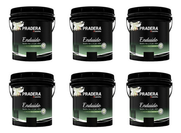 Enduido Para Exterior Pradera 6 X 1 L Anclaflex Mayorista Mm 0