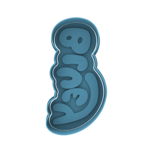 Logo Bluey Cartoon Cortante Para Galletas 0