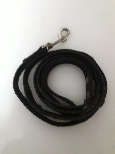 Correa Para Perro Gato 0