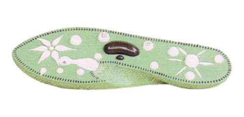 Paramecia, Material Didactico Para Enseñanza, 6017 0