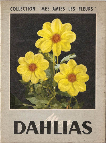 Dahlias Mes Amies Les Fleurs 0