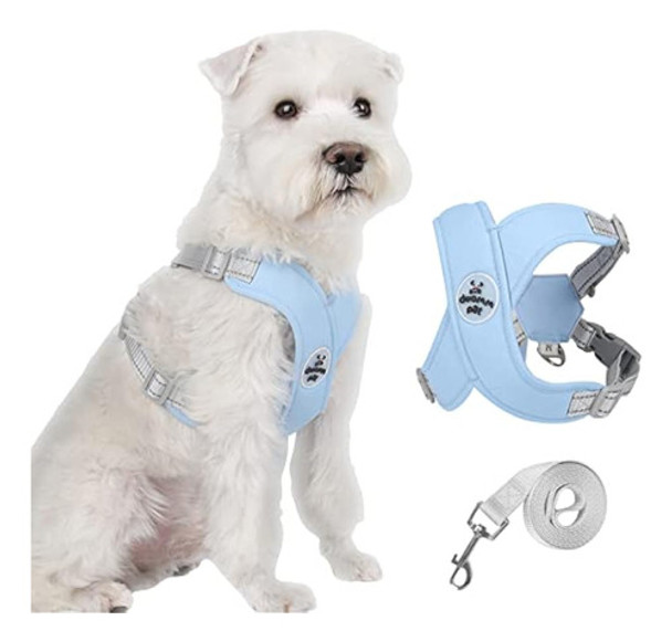 Juego De Correa De Arnés Para Perro, Diseño En 0 Juego De Correa De Arnés Para Perro, Diseño En 0