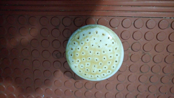 Flor Para Lluvia De Porcelana Y Bronce Antiguo 0