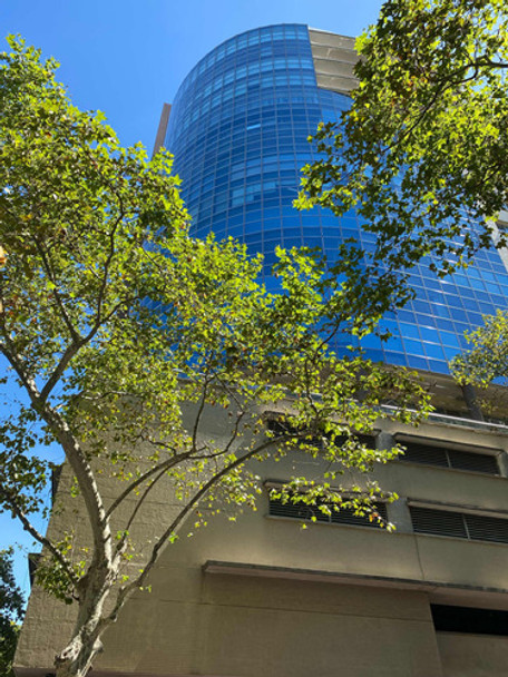 Dueño Alquila Oficina En Torre De Los Profesionales- 0