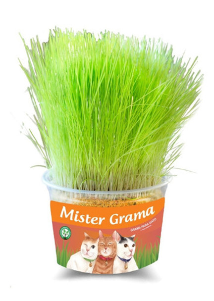 Grama Pra Gatos Mister Grama 0