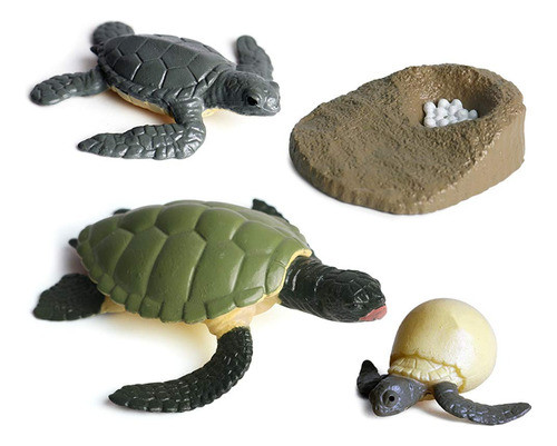 Juguete Ciclo De La Vida De La Tortuga Evolución 4 Piezas 0