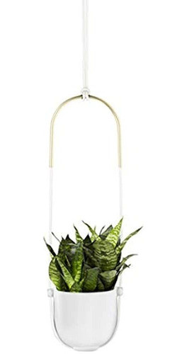 Jardinera Colgante Umbra Bolo 0