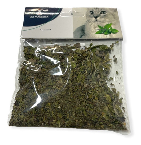 Yerba Gatera, Hierba Gatera, Catnip Estimulante Para Gato 0