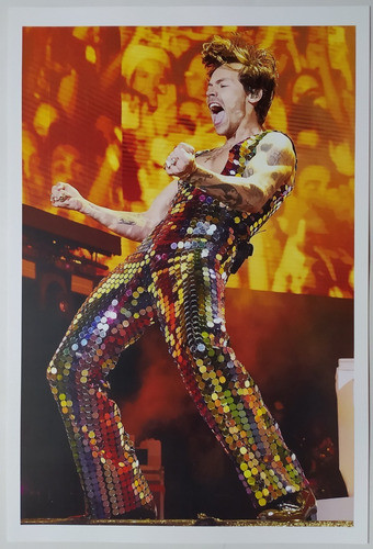 Poster Lamina Harry Styles Mono Lentejuelas Laser Clasicos 0