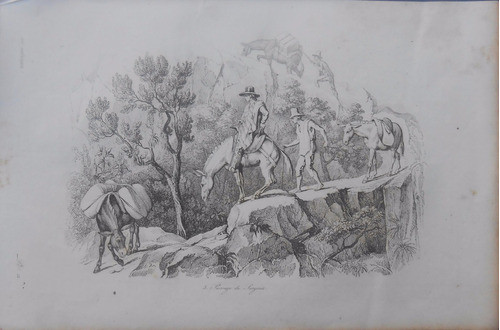 Grabado Original De D'orbigny 1836 Passage Du Sargento 0