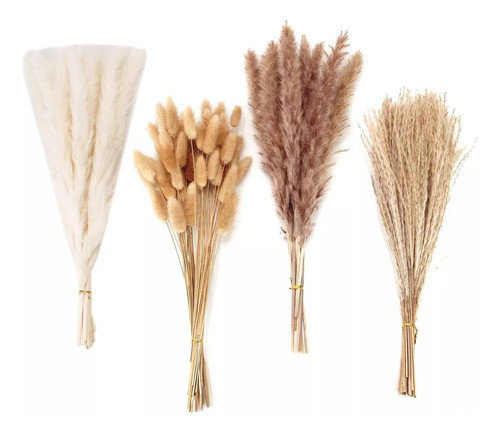 100 Peças Secas De Capim De Pampas, Decoração De Capim De Pa 0