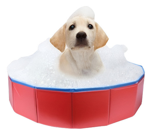 Perro Piscina Baño Cachorro Exterior Interior Portátil Plega 0