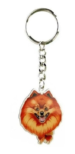 Chaveiro Heads Kleinspitz 0