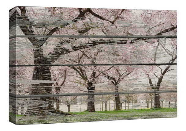 Arte De La Pared - Flor De Cerezo En Primavera 0